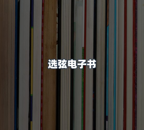 关于选弦电子书